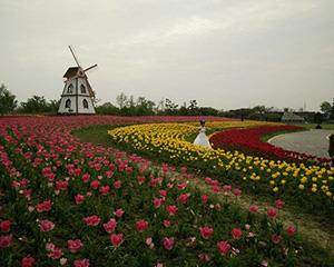 拓展训练基地-碧云花园 拓展训练基地-碧云花园