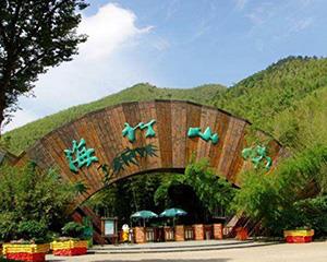 拓展训练基地-南山竹海拓展基地