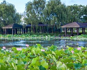 拓展训练基地-苏州阳澄湖