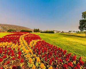拓展训练基地-上海辰山植物园拓展基地