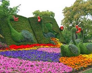 拓展训练基地-上海滨江森林公园基地