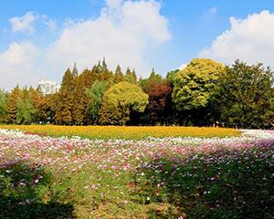 拓展训练基地-世纪公园